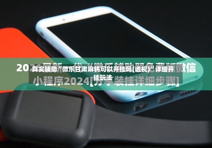 真实辅助“微乐甘肃麻将可以开挂吗(透视)”详细开挂玩法-第2张图片
