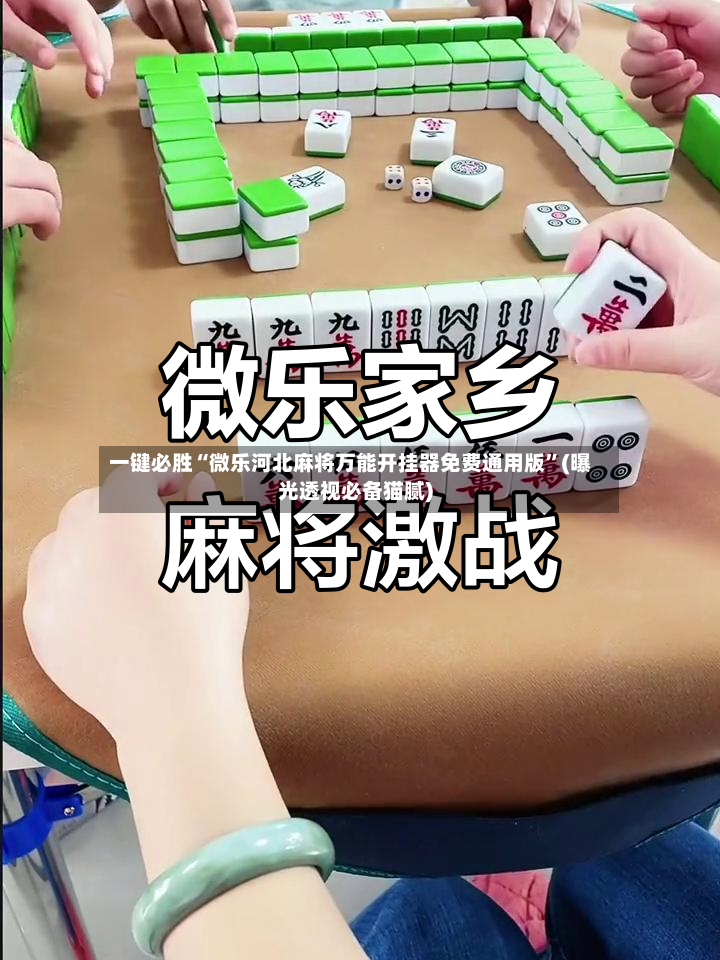 一键必胜“微乐河北麻将万能开挂器免费通用版”(曝光透视必备猫腻)