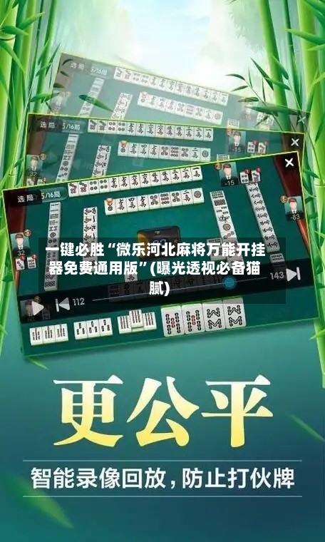 一键必胜“微乐河北麻将万能开挂器免费通用版”(曝光透视必备猫腻)-第2张图片
