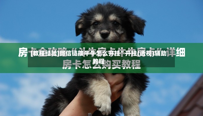 [教程经验]微信链接牛牛怎么开挂”开挂(透视)辅助教程