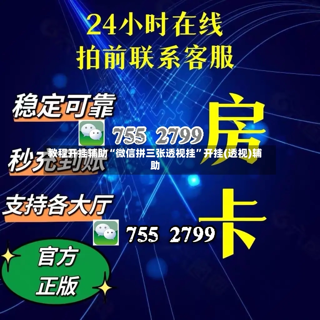 教程开挂辅助“微信拼三张透视挂”开挂(透视)辅助-第3张图片