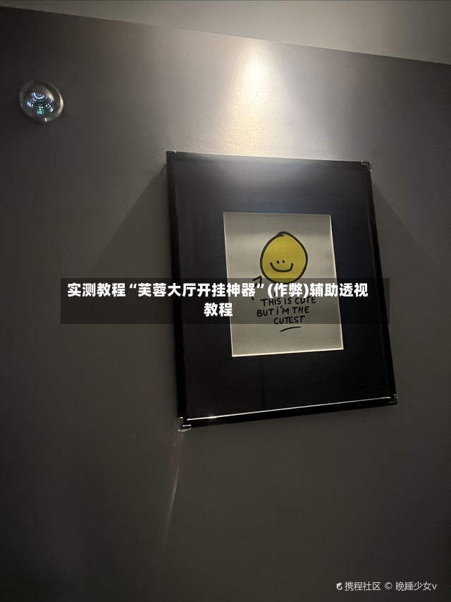 实测教程“芙蓉大厅开挂神器”(作弊)辅助透视教程-第3张图片