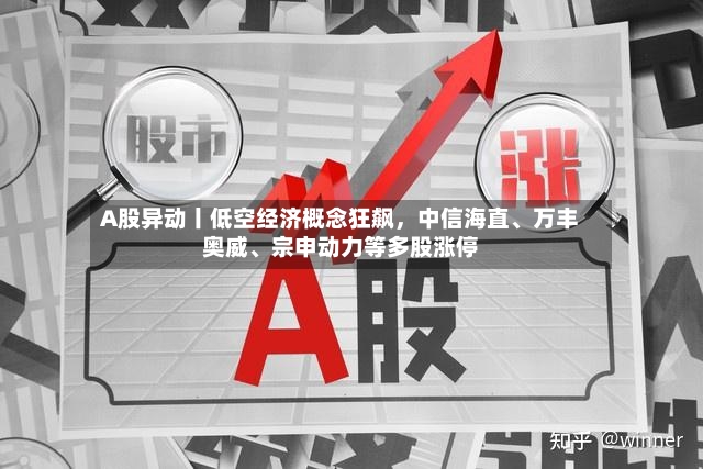 A股异动丨低空经济概念狂飙，中信海直	、万丰奥威、宗申动力等多股涨停-第2张图片