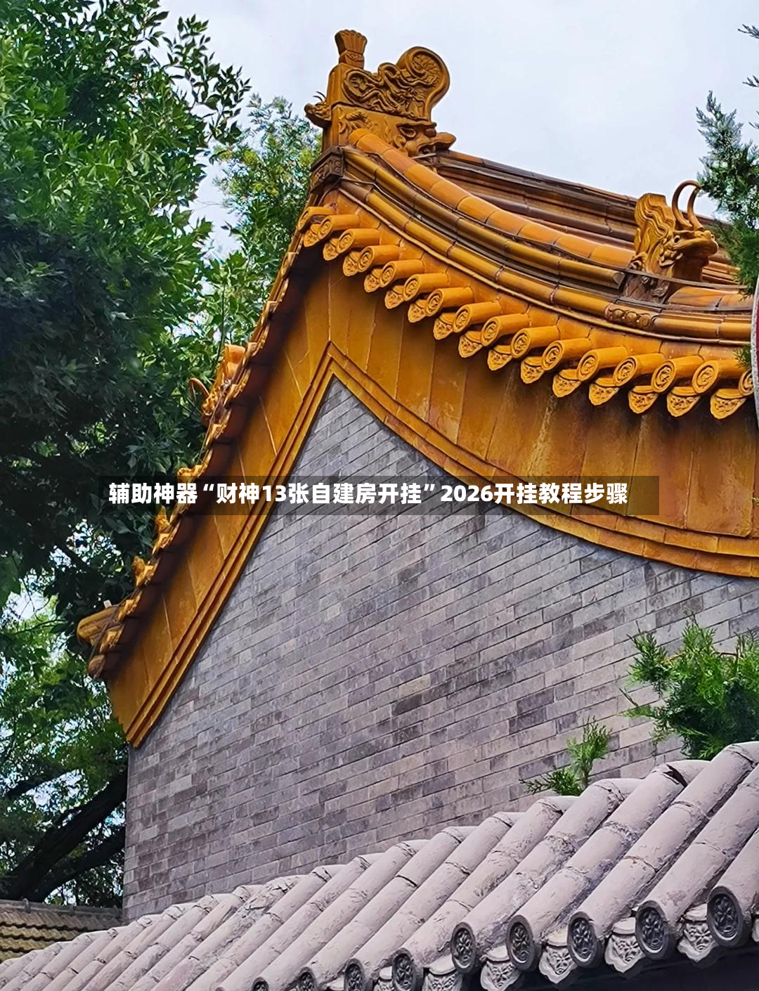 辅助神器“财神13张自建房开挂	”2026开挂教程步骤-第2张图片