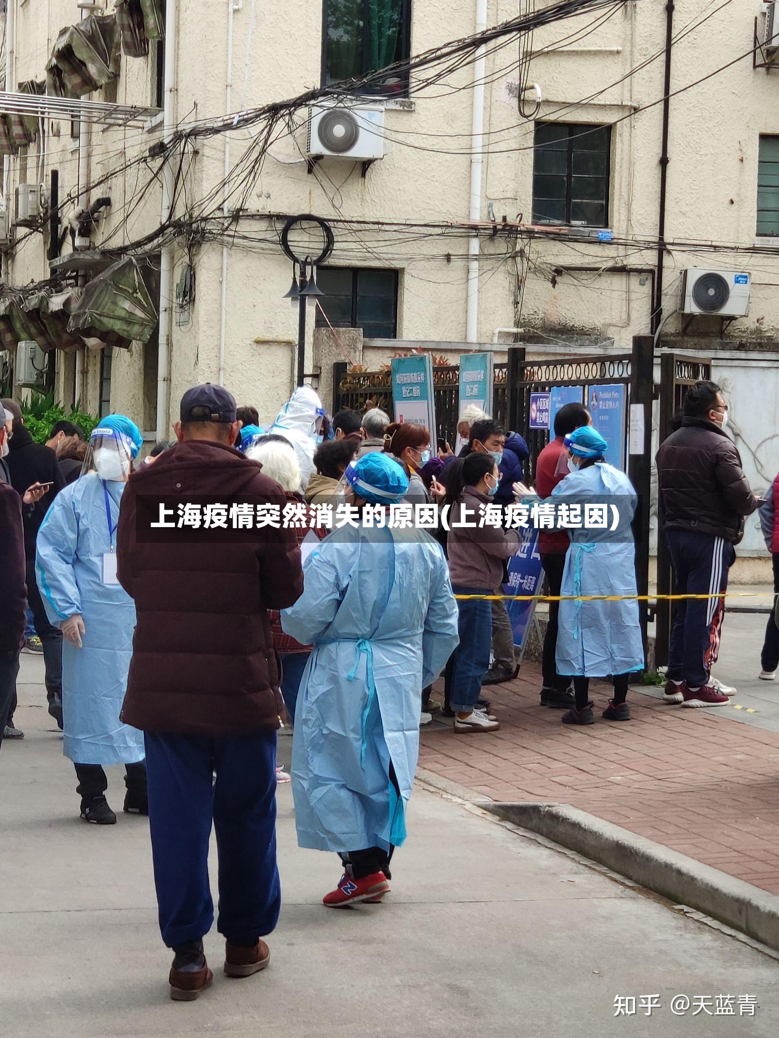 上海疫情突然消失的原因(上海疫情起因)
