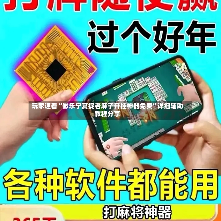 玩家速看“微乐宁夏捉老麻子开挂神器免费	”详细辅助教程分享-第2张图片