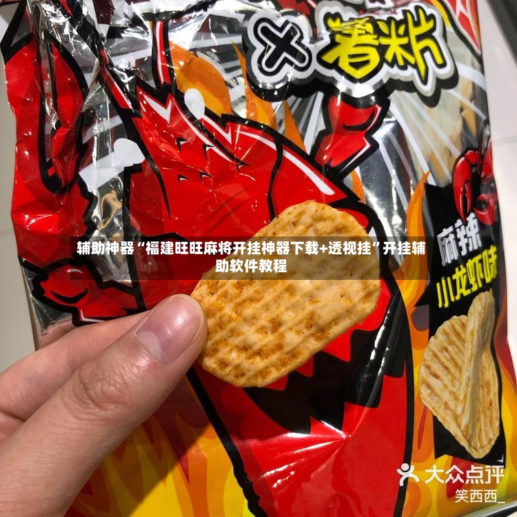 辅助神器“福建旺旺麻将开挂神器下载+透视挂”开挂辅助软件教程-第2张图片