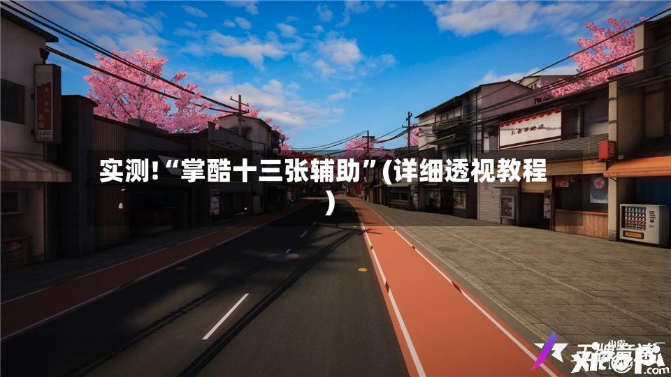 实测!“掌酷十三张辅助”(详细透视教程)