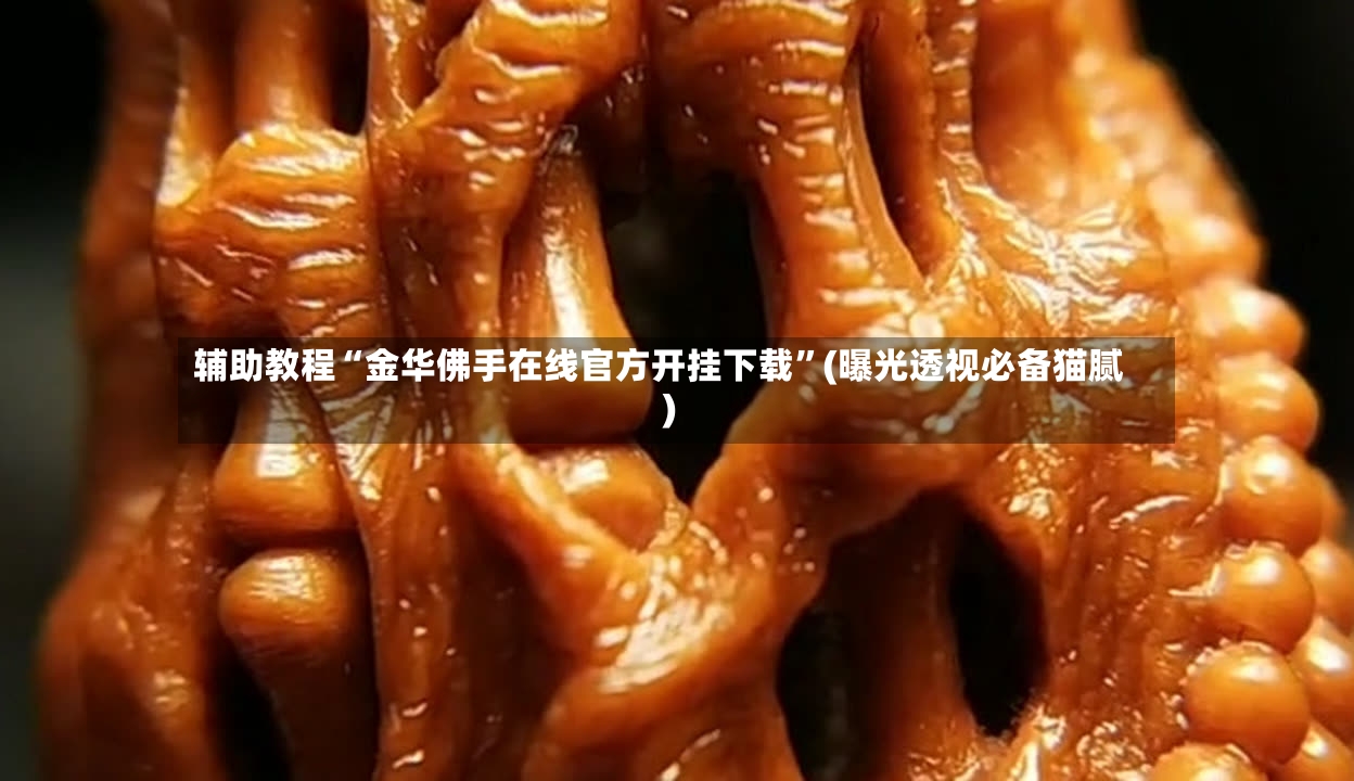 辅助教程“金华佛手在线官方开挂下载	”(曝光透视必备猫腻)-第2张图片