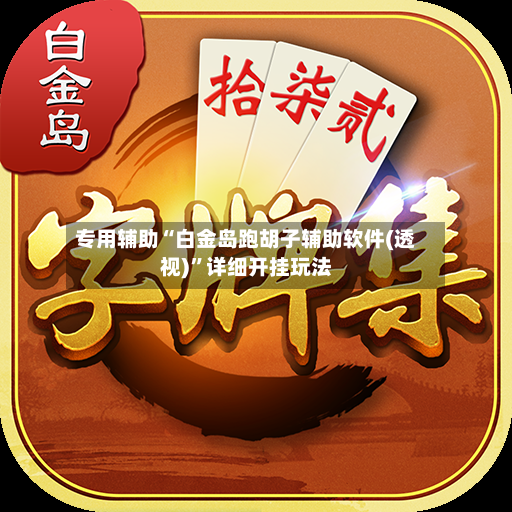 专用辅助“白金岛跑胡子辅助软件(透视)”详细开挂玩法-第2张图片