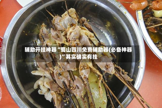 辅助开挂神器“蜀山四川免费辅助器(必备神器)”其实确实有挂