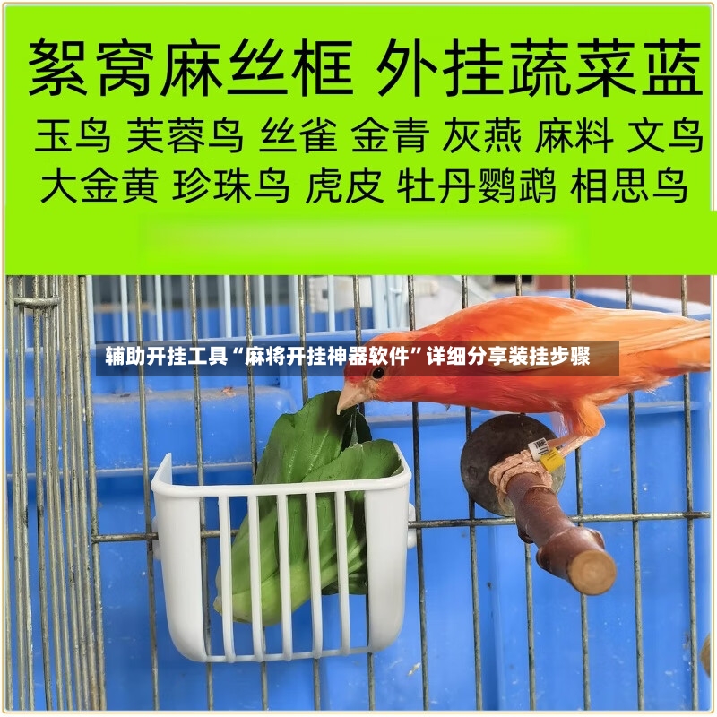 辅助开挂工具“麻将开挂神器软件”详细分享装挂步骤-第3张图片