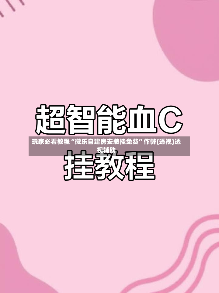 玩家必看教程“微乐自建房安装挂免费”作弊(透视)透视辅助-第2张图片
