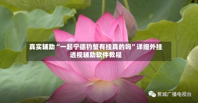 真实辅助“一起宁德钓蟹有挂真的吗”详细外挂透视辅助软件教程-第3张图片