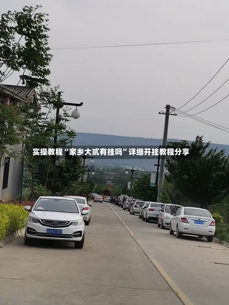 实操教程“家乡大贰有挂吗”详细开挂教程分享-第3张图片