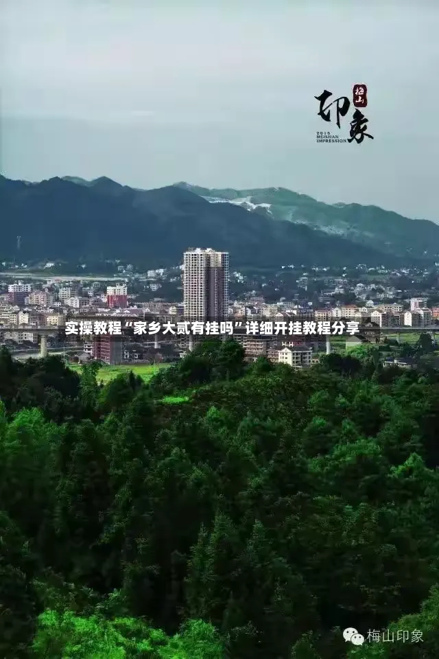 实操教程“家乡大贰有挂吗”详细开挂教程分享-第2张图片