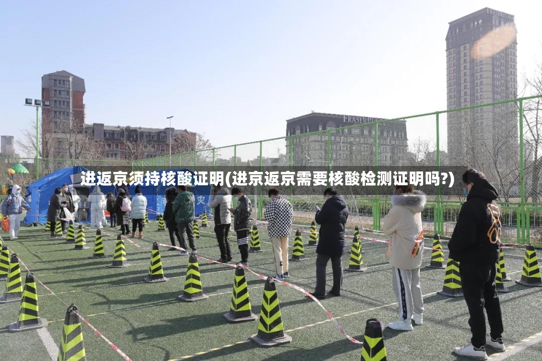 进返京须持核酸证明(进京返京需要核酸检测证明吗?)-第2张图片