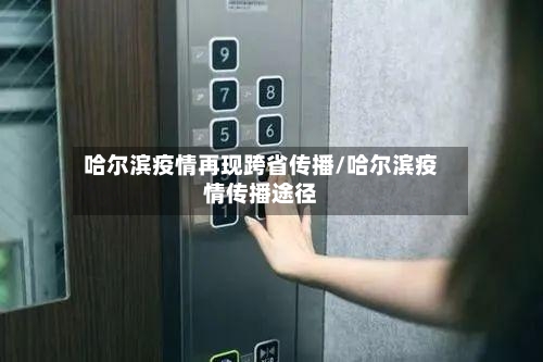 哈尔滨疫情再现跨省传播/哈尔滨疫情传播途径