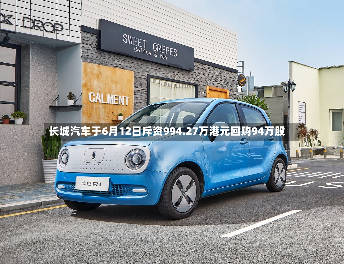 长城汽车于6月12日斥资994.27万港元回购94万股