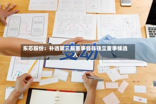 东芯股份：补选第三届董事会非独立董事候选人