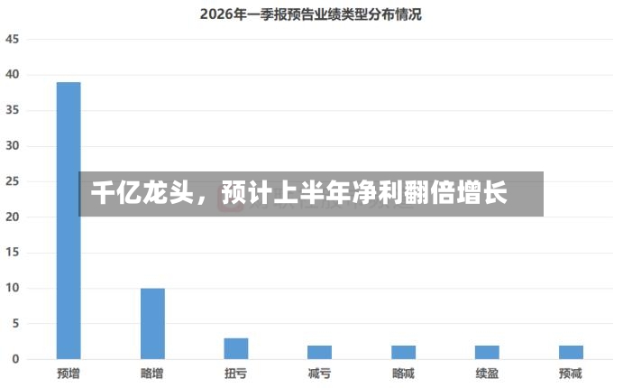 千亿龙头，预计上半年净利翻倍增长
