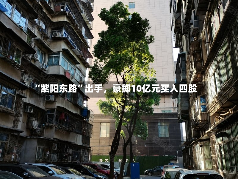 “紫阳东路”出手	，豪掷10亿元买入四股-第3张图片