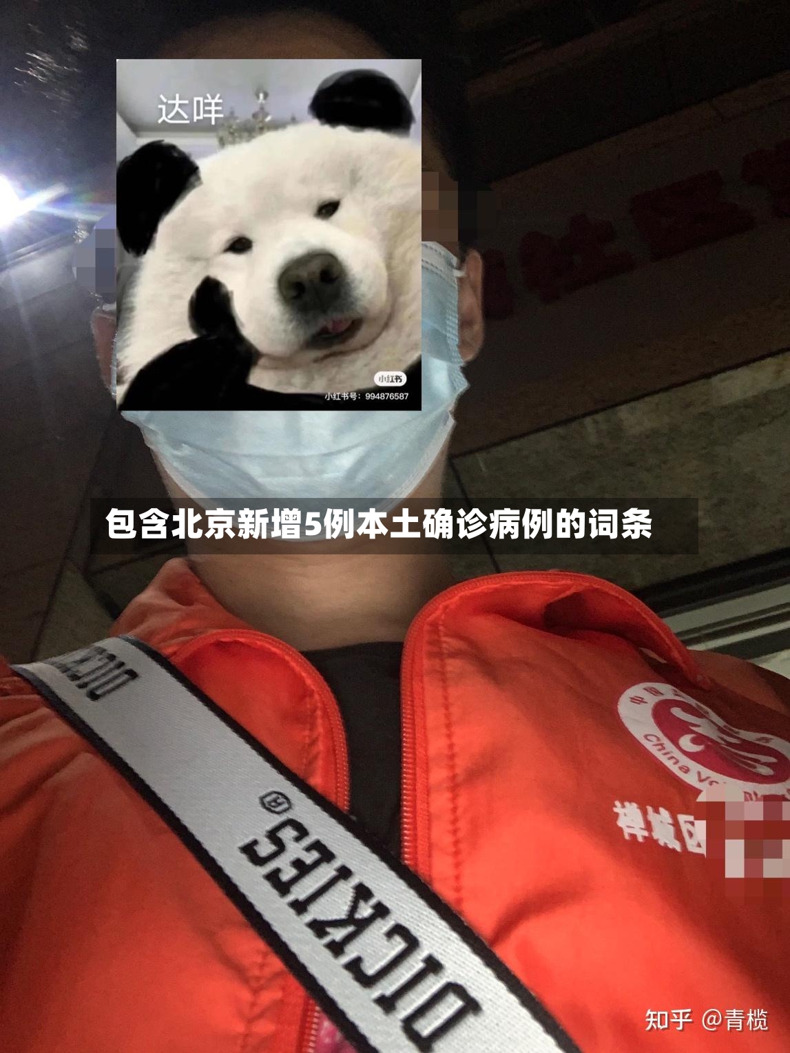 包含北京新增5例本土确诊病例的词条