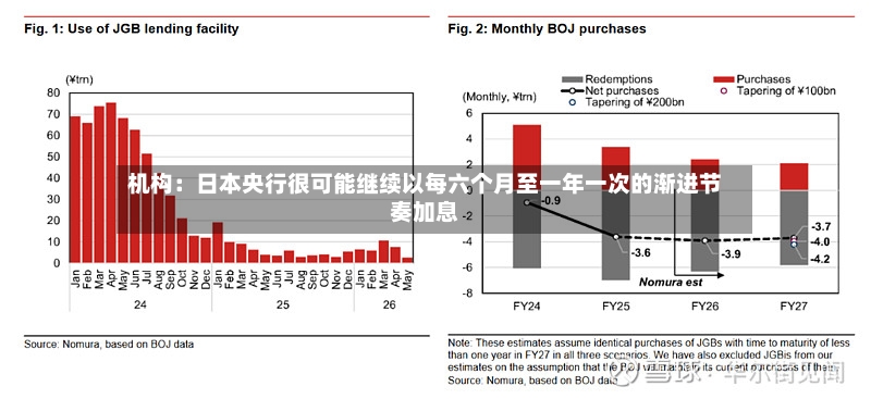机构：日本央行很可能继续以每六个月至一年一次的渐进节奏加息