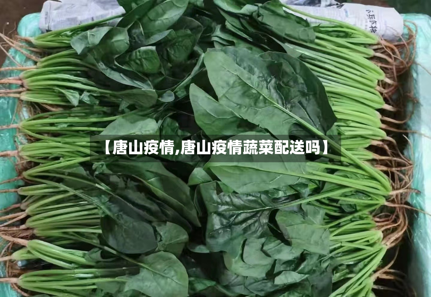 【唐山疫情,唐山疫情蔬菜配送吗】-第2张图片
