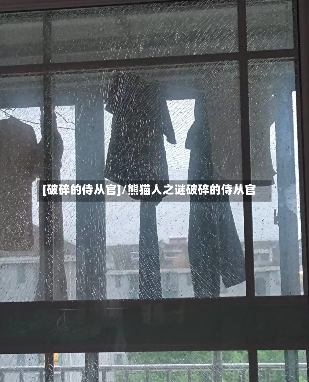 [破碎的侍从官]/熊猫人之谜破碎的侍从官