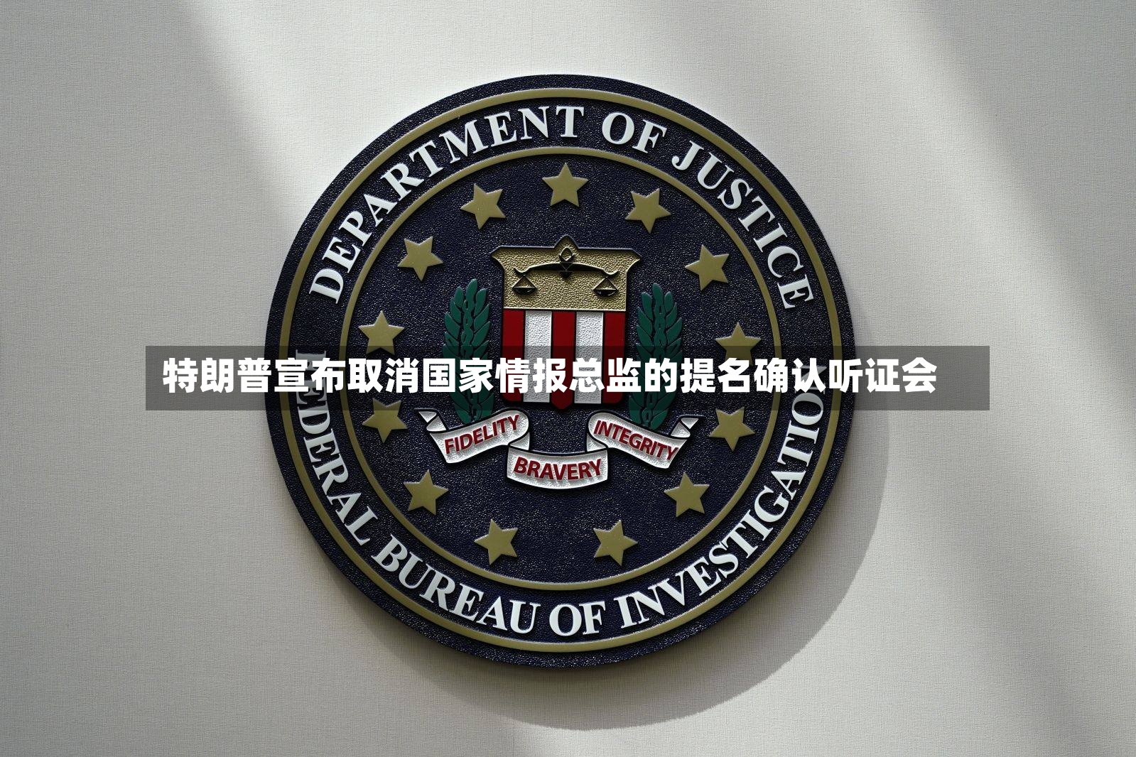 特朗普宣布取消国家情报总监的提名确认听证会