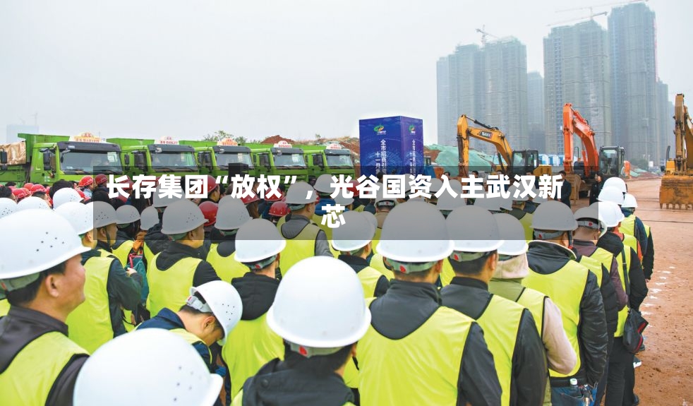 长存集团“放权	”，光谷国资入主武汉新芯-第2张图片