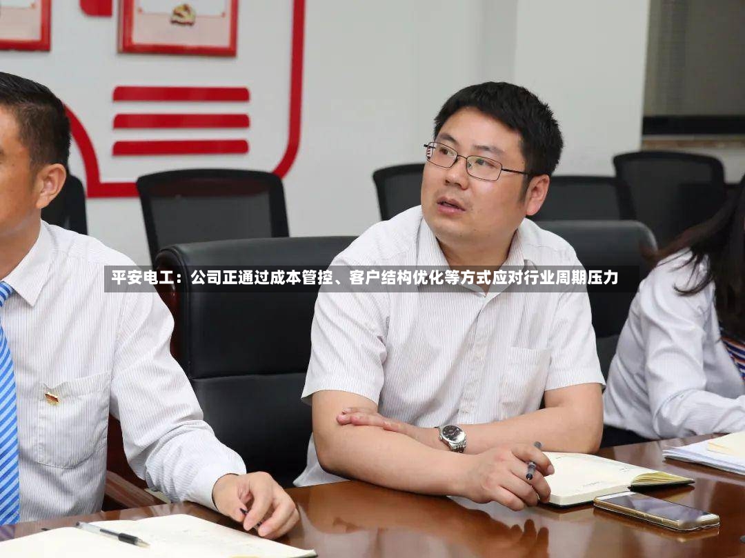 平安电工：公司正通过成本管控、客户结构优化等方式应对行业周期压力-第3张图片