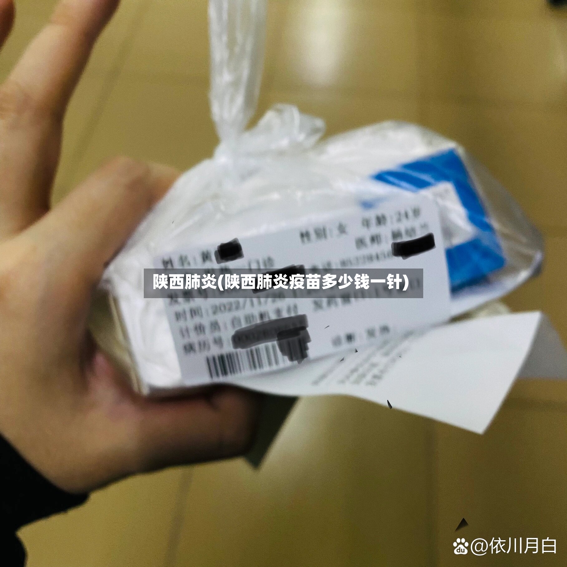 陕西肺炎(陕西肺炎疫苗多少钱一针)