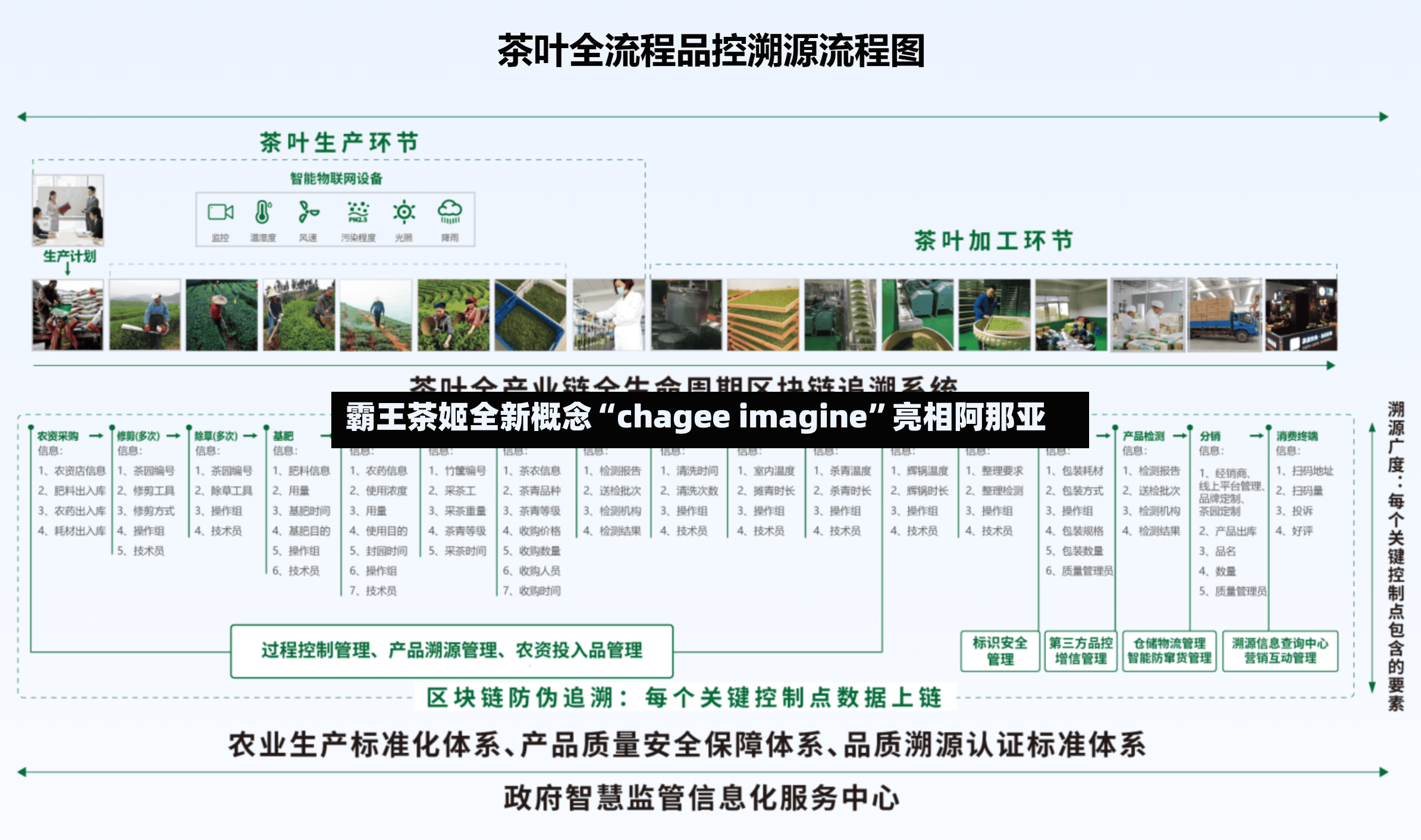 霸王茶姬全新概念“chagee imagine”亮相阿那亚