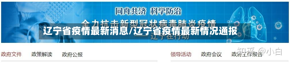 辽宁省疫情最新消息/辽宁省疫情最新情况通报-第2张图片
