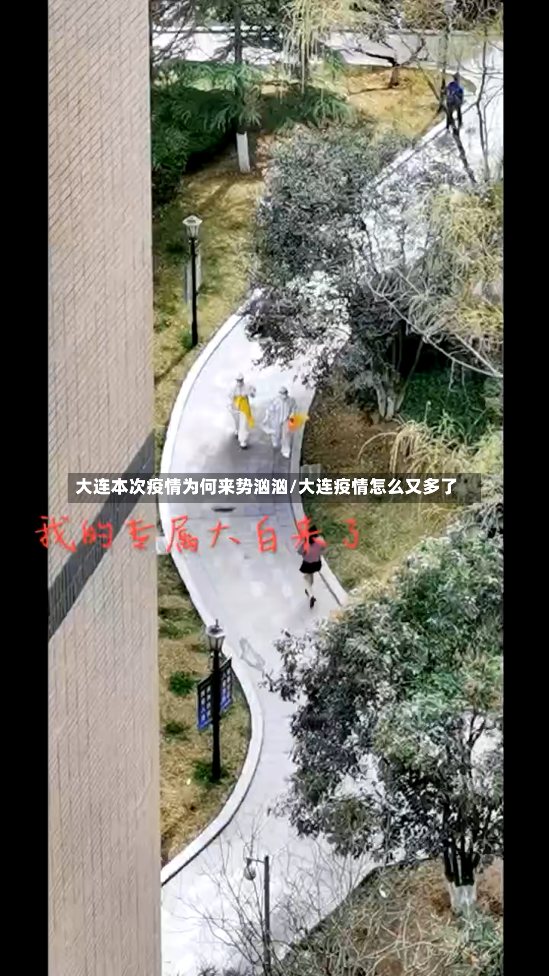 大连本次疫情为何来势汹汹/大连疫情怎么又多了