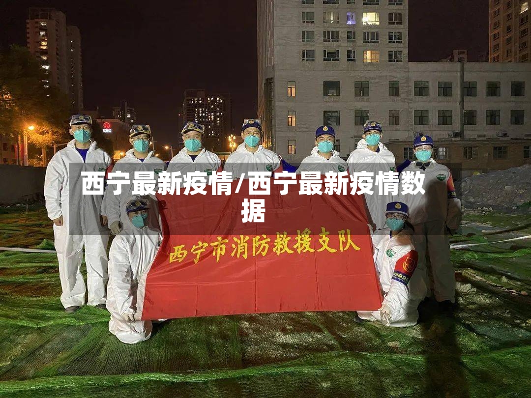 西宁最新疫情/西宁最新疫情数据
