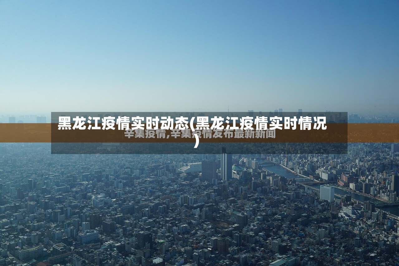 黑龙江疫情实时动态(黑龙江疫情实时情况)-第2张图片