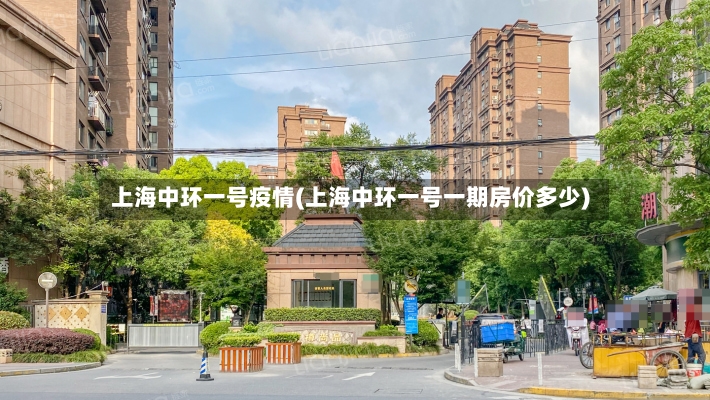 上海中环一号疫情(上海中环一号一期房价多少)