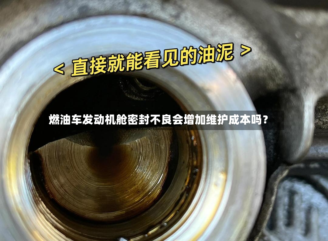 燃油车发动机舱密封不良会增加维护成本吗？-第2张图片