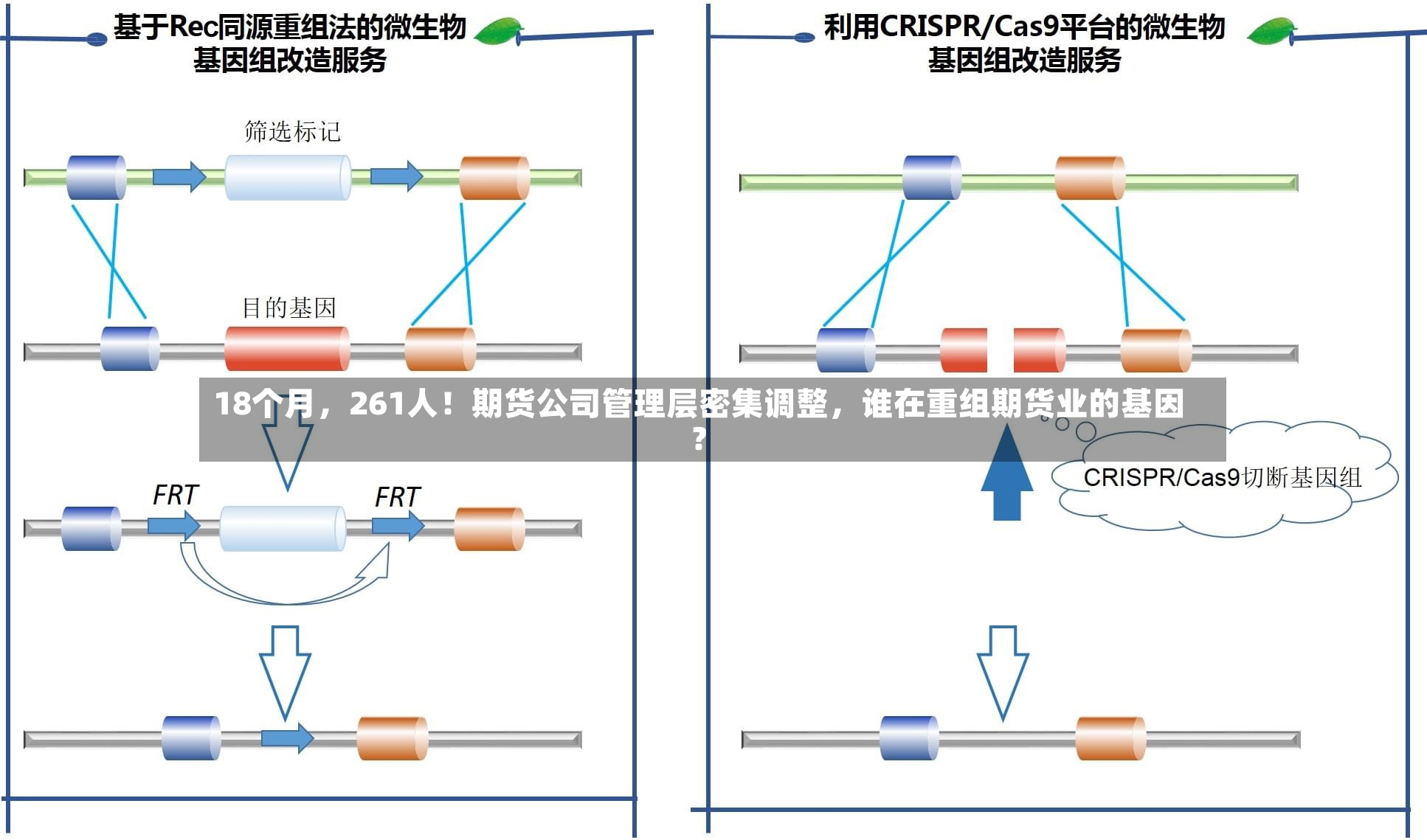 18个月，261人！期货公司管理层密集调整，谁在重组期货业的基因？-第3张图片