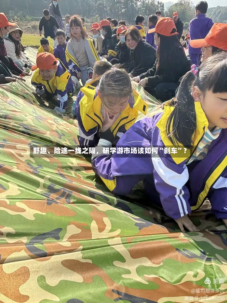 野趣、险途一线之隔	，研学游市场该如何“刹车”？-第3张图片