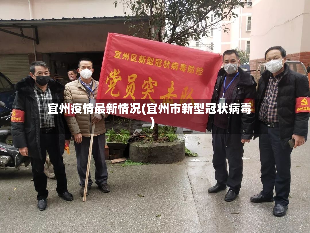 宜州疫情最新情况(宜州市新型冠状病毒)