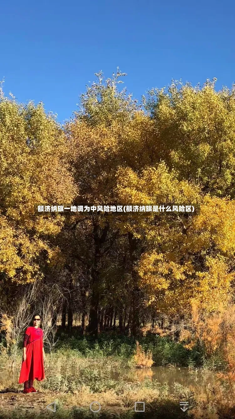 额济纳旗一地调为中风险地区(额济纳旗是什么风险区)-第2张图片