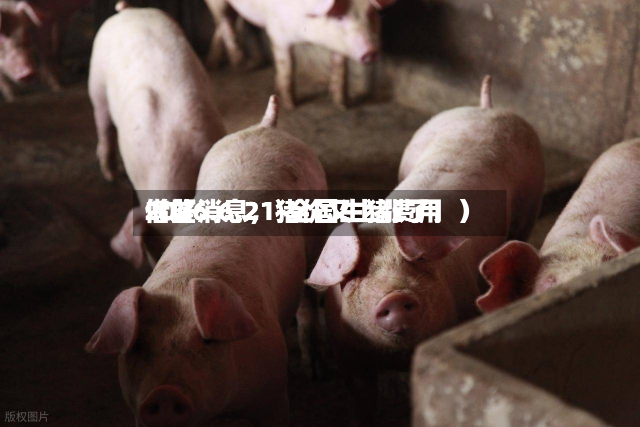 2026.6.21-全国生猪费用借鉴（好消息，猪价又上涨了！）-第2张图片
