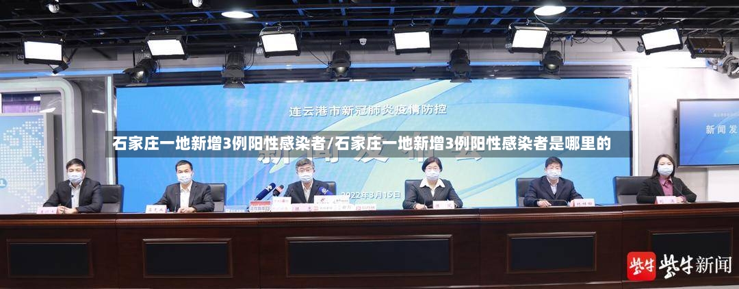 石家庄一地新增3例阳性感染者/石家庄一地新增3例阳性感染者是哪里的-第2张图片