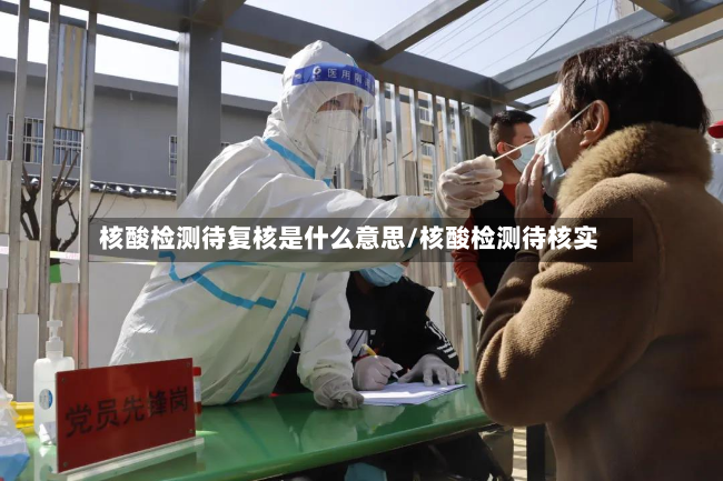 核酸检测待复核是什么意思/核酸检测待核实-第2张图片