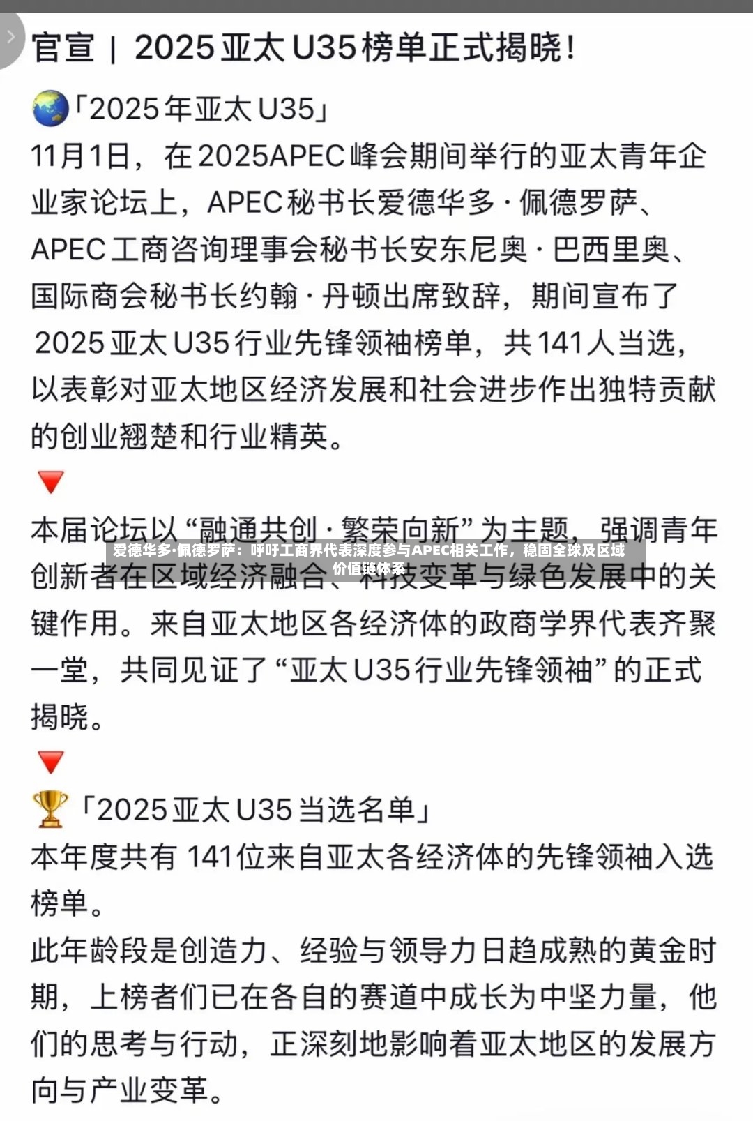 爱德华多·佩德罗萨：呼吁工商界代表深度参与APEC相关工作，稳固全球及区域价值链体系-第3张图片