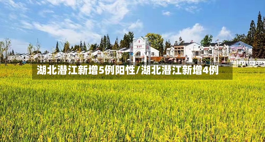 湖北潜江新增5例阳性/湖北潜江新增4例-第3张图片